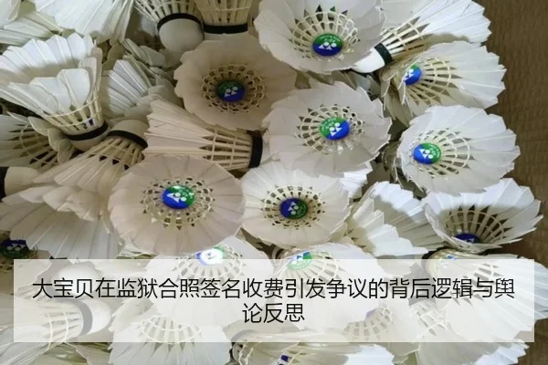 大宝贝在监狱合照签名收费引发争议的背后逻辑与舆论反思